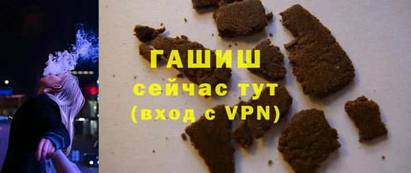 индика Белокуриха