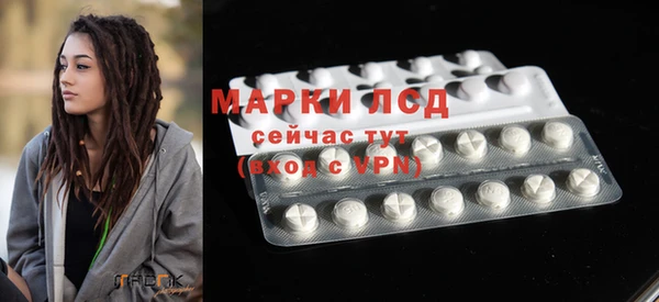 индика Белокуриха