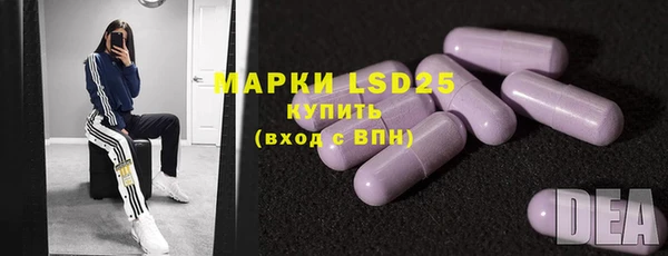 индика Белокуриха