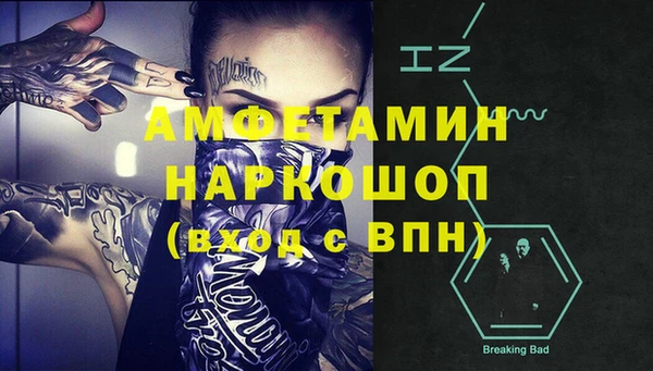 индика Белокуриха