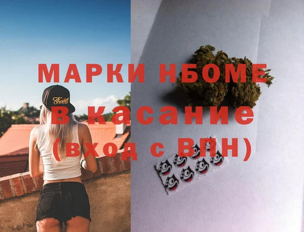 индика Белокуриха