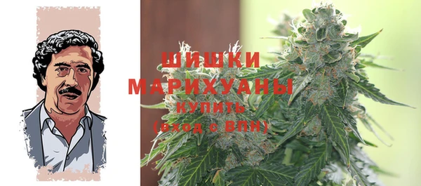 индика Белокуриха