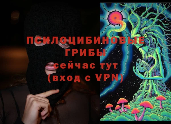 индика Белокуриха